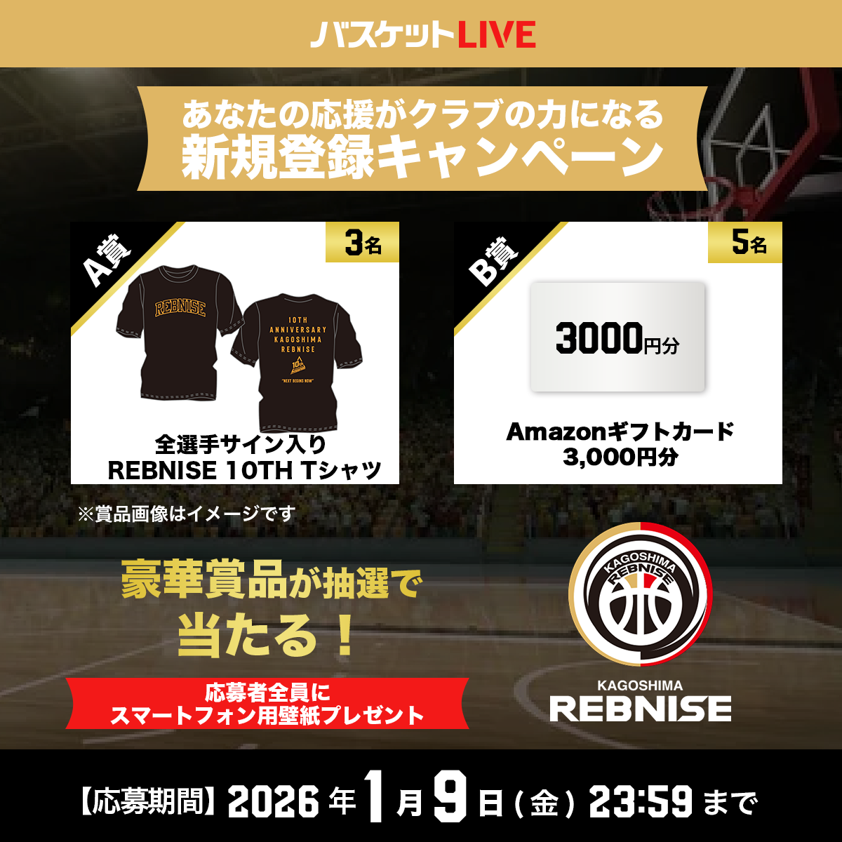 鹿児島レブナイズ サイン入りボール 鹿児島レブナイズ サイン入りボール 鹿児島レブナイズ サイン